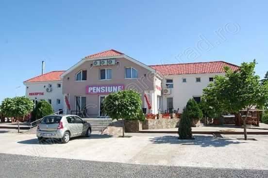 Pensiunea Rodica Nădlac Exterior foto